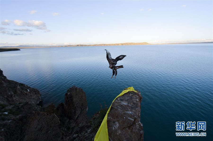 （今日關(guān)注&middot;第一屆國家公園論壇&middot;圖文互動）（2）首個國家公園什么樣？專家?guī)阆?ldquo;睹&rdquo;為快