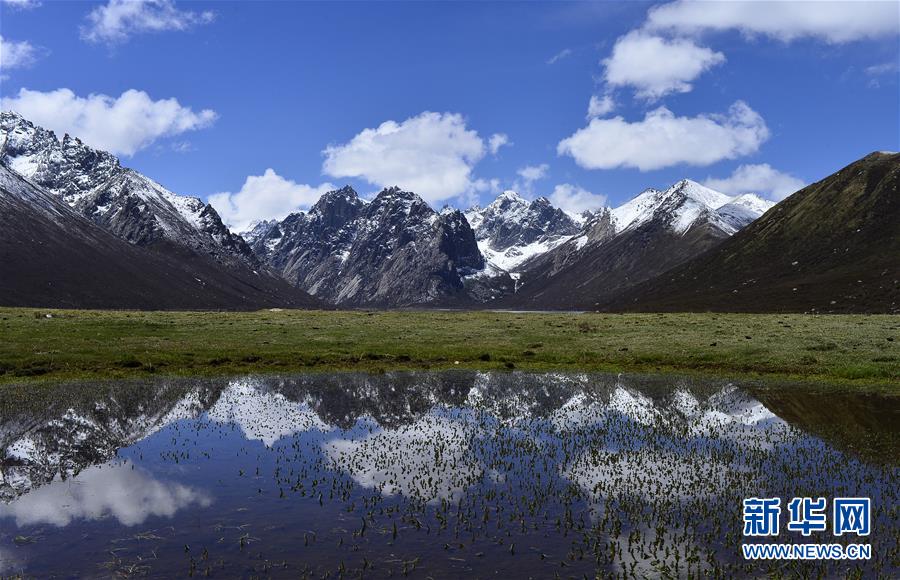（今日關(guān)注&middot;第一屆國(guó)家公園論壇&middot;圖文互動(dòng)）（6）首個(gè)國(guó)家公園什么樣？專家?guī)阆?ldquo;睹&rdquo;為快