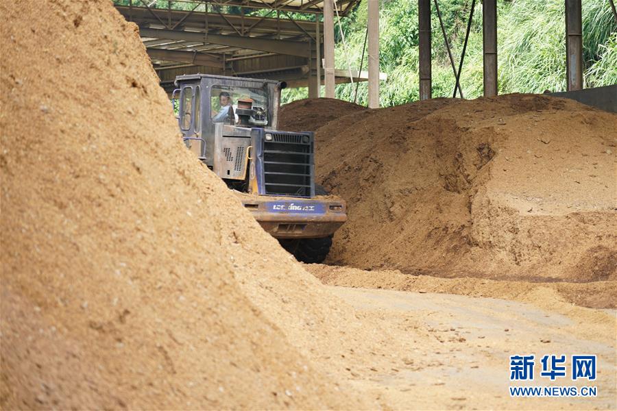 （在習(xí)近平新時(shí)代中國(guó)特色社會(huì)主義思想指引下&mdash;&mdash;新時(shí)代新作為新篇章&middot;總書(shū)記關(guān)心的百姓身邊事&middot;圖文互動(dòng)）（4）大污染變身&ldquo;大寶藏&rdquo;：治理畜禽糞污，他們這樣干！