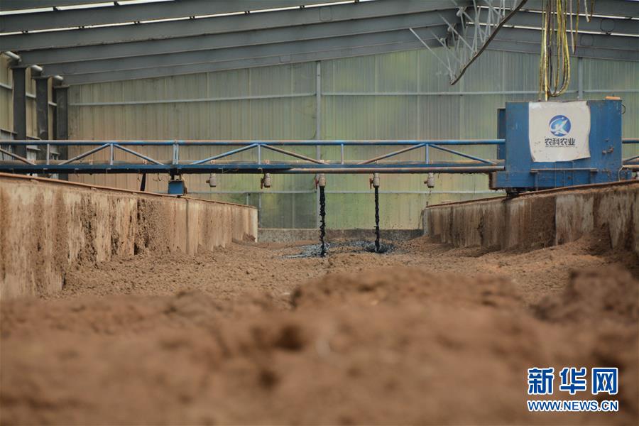 （在習(xí)近平新時(shí)代中國(guó)特色社會(huì)主義思想指引下&mdash;&mdash;新時(shí)代新作為新篇章&middot;總書(shū)記關(guān)心的百姓身邊事&middot;圖文互動(dòng)）（5）大污染變身&ldquo;大寶藏&rdquo;：治理畜禽糞污，他們這樣干！