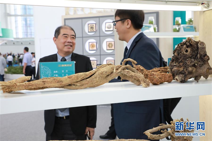 （來自一線的調查報告&middot;圖文互動）（2）甘肅：岐黃肇始地 振興開新方