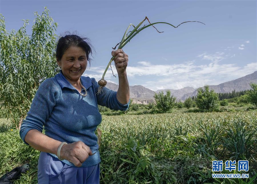 （決戰(zhàn)決勝脫貧攻堅(jiān)&middot;圖文互動(dòng)）（1）記者手記：尋訪昆侖&ldquo;桃花源&rdquo;的&ldquo;祛病&rdquo;良方