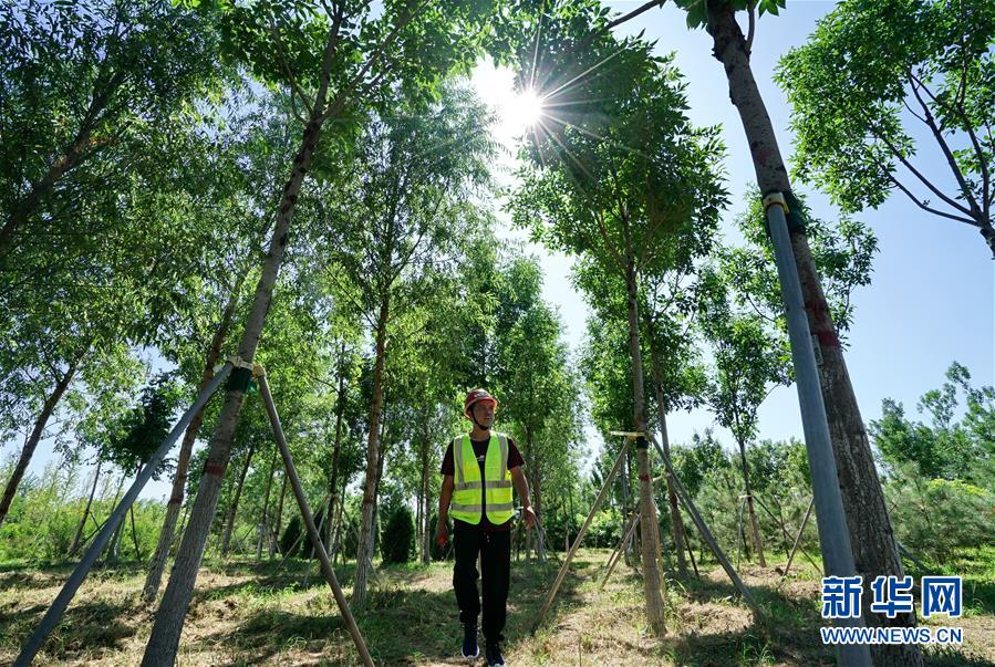 （壯麗70年&middot;奮斗新時(shí)代&middot;重溫囑托看變化&middot;圖文互動(dòng)）（1）雄安新區(qū)：錨定高質(zhì)量發(fā)展　奮力書寫新時(shí)代答卷