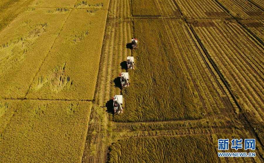 （新華全媒頭條&middot;圖文互動(dòng)）（5）紅色的傳承，藍(lán)圖的起點(diǎn)&mdash;&mdash;新中國(guó)孕育與發(fā)展的&ldquo;東北記憶&rdquo;