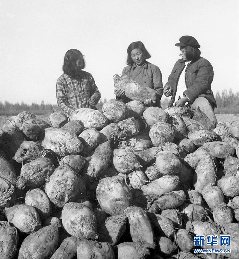 （圖文互動(dòng)）（2）為了&ldquo;中國(guó)號(hào)&rdquo;巨輪揚(yáng)帆遠(yuǎn)航&mdash;&mdash;中國(guó)共產(chǎn)黨領(lǐng)導(dǎo)下的人民軍隊(duì)忠于祖國(guó)、服務(wù)人民啟示錄