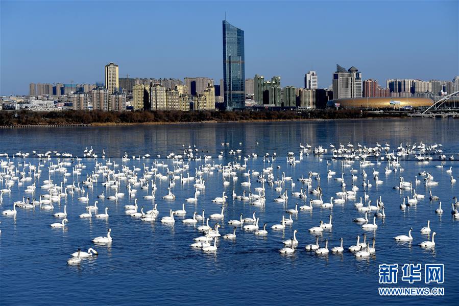 (新華全媒頭條·圖文互動)(14)中國道路越走越寬廣——社會主義中國實(shí)踐啟示錄