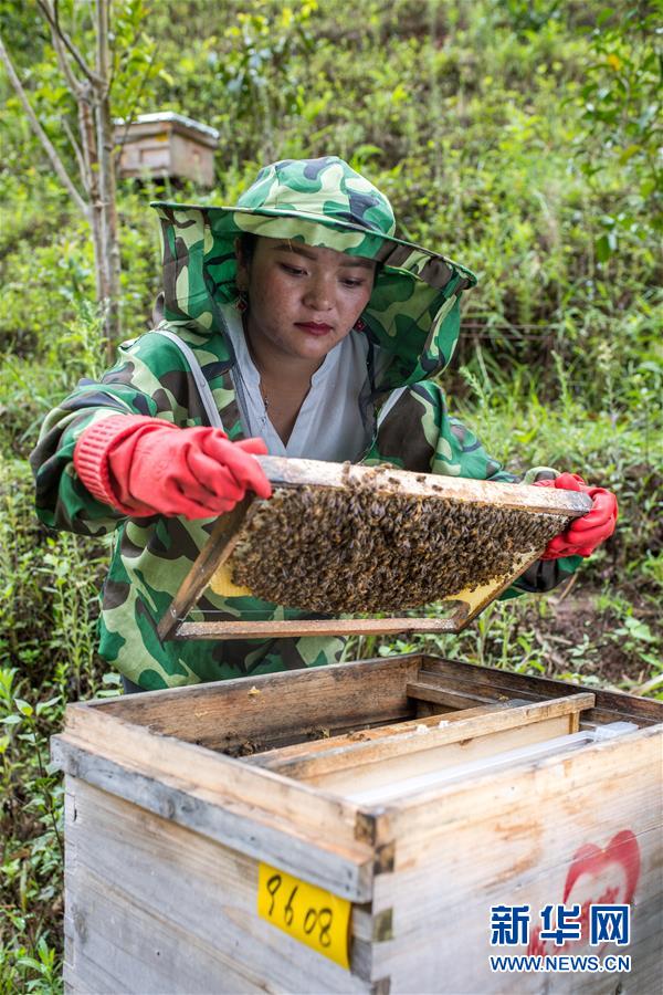 （圖文互動(dòng)）（7）太陽(yáng)照耀&ldquo;人類(lèi)童年&rdquo;&mdash;&mdash;新時(shí)代直過(guò)民族脫貧攻堅(jiān)紀(jì)事
