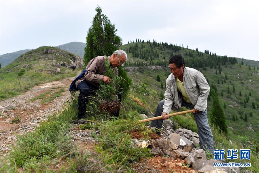 （圖文互動）（2）&ldquo;退休20年，咱就干了這么一件事&rdquo;&mdash;&mdash;記山西水利廳退休干部高文毓的&ldquo;綠山夢&rdquo;