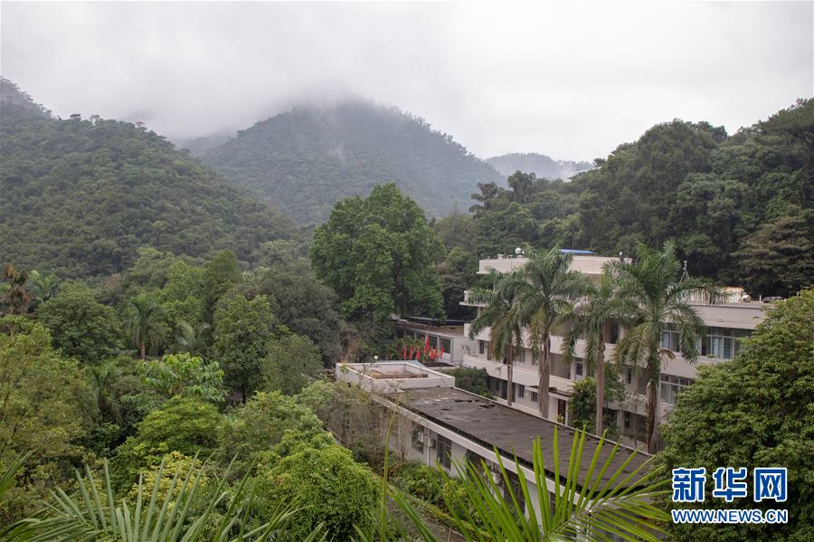 （圖文互動）（3）科學(xué)接續(xù)保護(hù) 守住生態(tài)紅線&mdash;&mdash;探訪&ldquo;北回歸沙漠帶上的綠色明珠&rdquo;