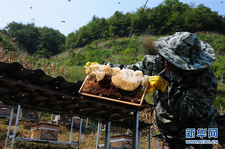 （新華全媒頭條&middot;圖文互動(dòng)）（4）永不歸來(lái)的&ldquo;戰(zhàn)士&rdquo;&mdash;&mdash;追記倒在脫貧攻堅(jiān)一線的貴州沿河縣駐村第一書(shū)記文偉紅