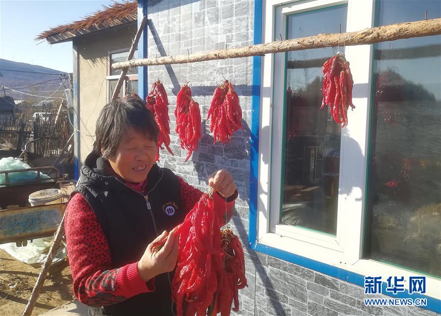 (在習(xí)近平新時(shí)代中國(guó)特色社會(huì)主義思想指引下——新時(shí)代新作為新篇章·總書記關(guān)心的百姓身邊事·圖文互動(dòng))(3)一個(gè)貧困山村的振興新動(dòng)能——小故事里的大情懷之五