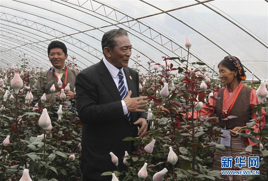 （壯麗70年&middot;奮斗新時(shí)代&mdash;&mdash;共和國(guó)榮光）（3）民族團(tuán)結(jié)的楷模&mdash;&mdash;熱地