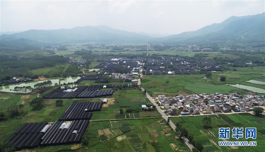 （在習(xí)近平新時(shí)代中國特色社會主義思想指引下&mdash;&mdash;新時(shí)代新作為新篇章&middot;總書記關(guān)心的百姓身邊事&middot;圖文互動(dòng)）（1）&ldquo;科技秀才&rdquo;給田野帶來新希望