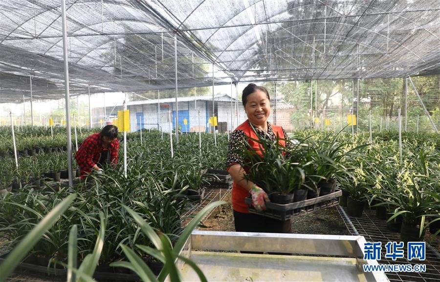 （在習(xí)近平新時(shí)代中國特色社會主義思想指引下&mdash;&mdash;新時(shí)代新作為新篇章&middot;總書記關(guān)心的百姓身邊事&middot;圖文互動(dòng)）（2）&ldquo;科技秀才&rdquo;給田野帶來新希望