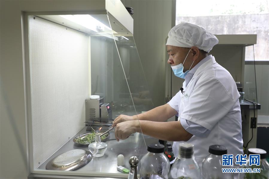 （在習(xí)近平新時(shí)代中國特色社會主義思想指引下&mdash;&mdash;新時(shí)代新作為新篇章&middot;總書記關(guān)心的百姓身邊事&middot;圖文互動(dòng)）（5）&ldquo;科技秀才&rdquo;給田野帶來新希望