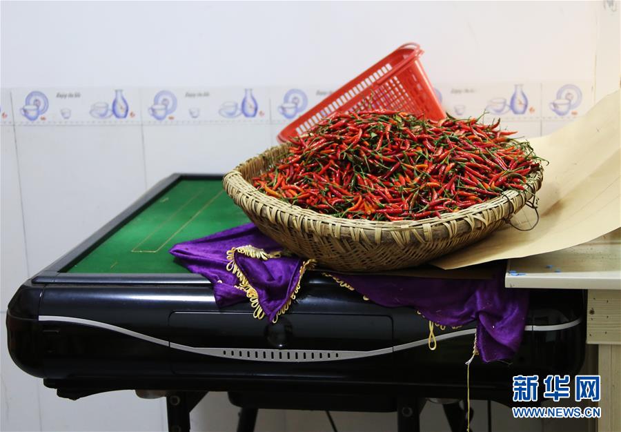 （四中全會精神在基層&middot;圖文互動）（2）特寫：麻將桌&ldquo;失業(yè)&rdquo;記