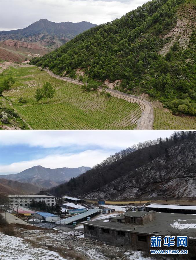 （新華全媒頭條&middot;圖文互動(dòng)）（8）綠色的啟示&mdash;&mdash;西部地區(qū)生態(tài)問題典型個(gè)案再調(diào)查