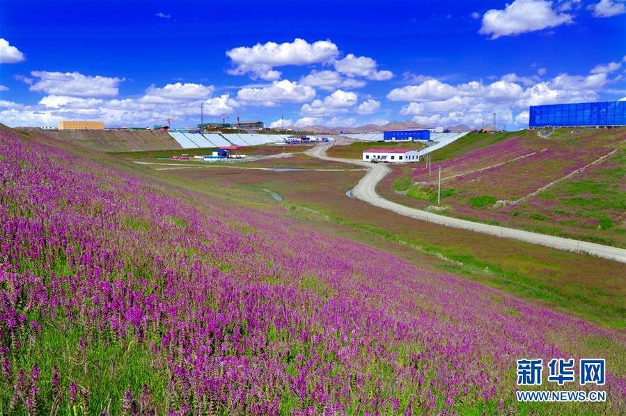 （新華全媒頭條&middot;圖文互動(dòng)）（7）綠色的啟示&mdash;&mdash;西部地區(qū)生態(tài)問題典型個(gè)案再調(diào)查