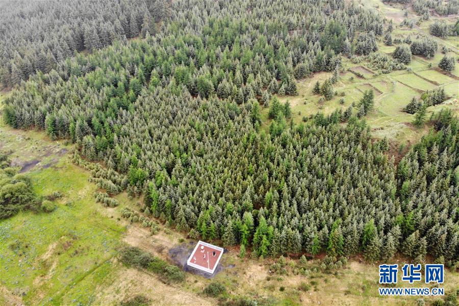（新華全媒頭條&middot;圖文互動(dòng)）（11）綠色的啟示&mdash;&mdash;西部地區(qū)生態(tài)問題典型個(gè)案再調(diào)查