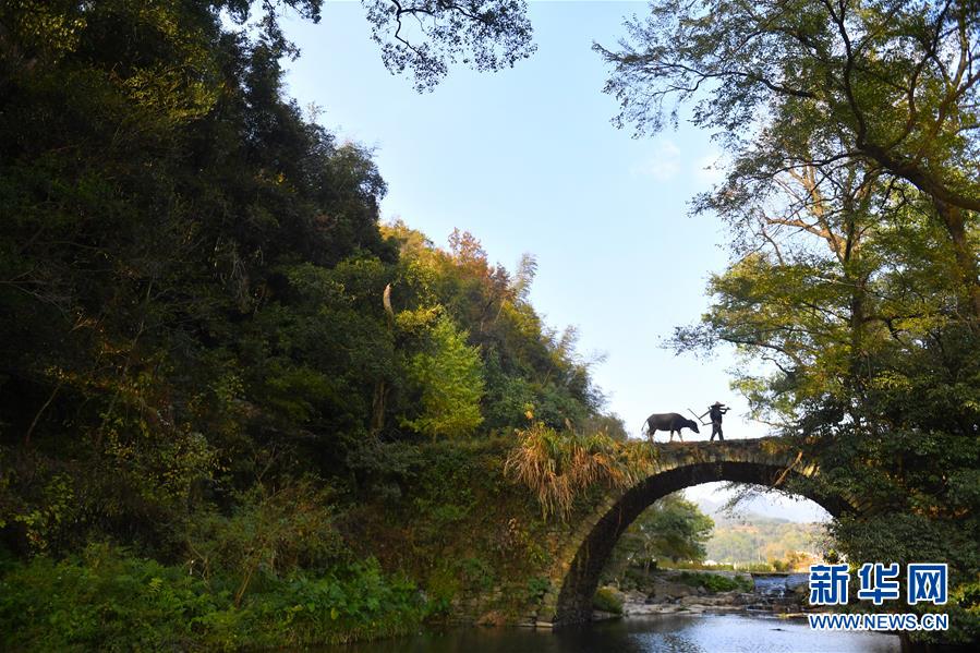（圖文互動(dòng)）（3）鄉(xiāng)村攝影師、鄉(xiāng)村&ldquo;模特&rdquo;、民宿店主&mdash;&mdash;鄉(xiāng)村旅游推動(dòng)婺源農(nóng)民生活方式發(fā)生新變化