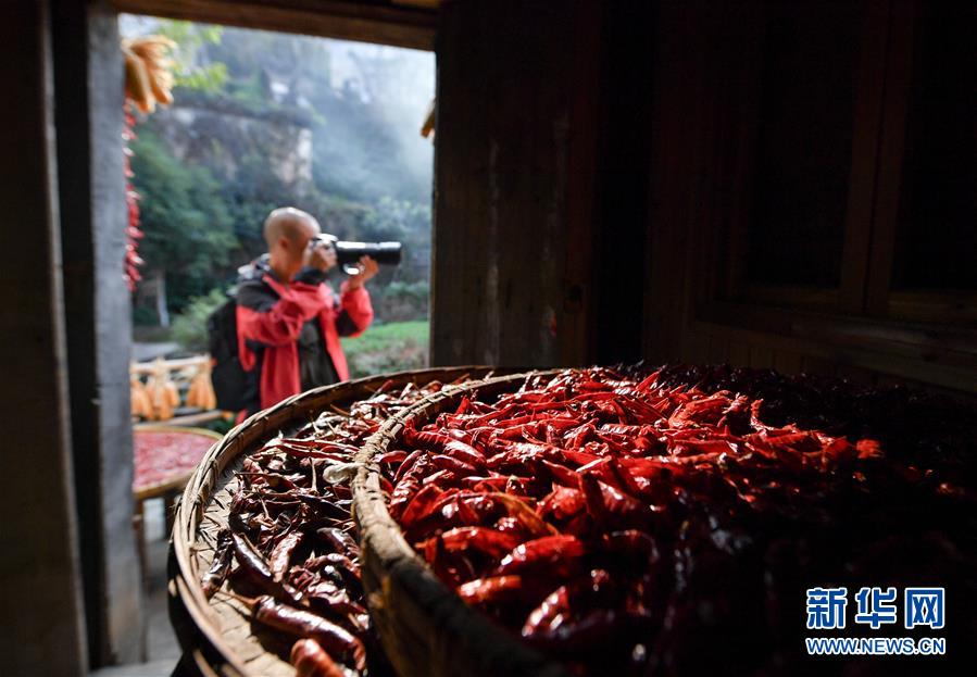 （圖文互動(dòng)）（6）鄉(xiāng)村攝影師、鄉(xiāng)村&ldquo;模特&rdquo;、民宿店主&mdash;&mdash;鄉(xiāng)村旅游推動(dòng)婺源農(nóng)民生活方式發(fā)生新變化