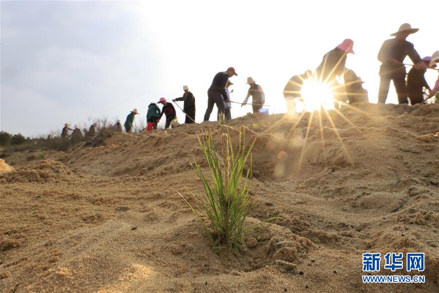 （在習近平新時代中國特色社會主義思想指引下&mdash;&mdash;新時代新作為新篇章&middot;總書記關(guān)切高質(zhì)量發(fā)展&middot;圖文互動）（4）在藍天白云下&mdash;&mdash;污染防治攻堅戰(zhàn)持續(xù)推進