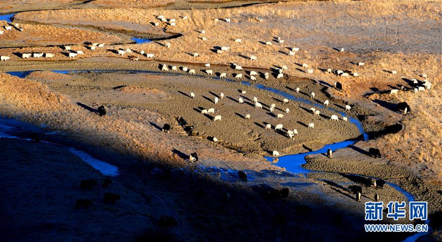 （新華全媒頭條&middot;圖文互動）（15）格?；ㄩ_滿天路&mdash;&mdash;寫在川藏公路通車65周年之際