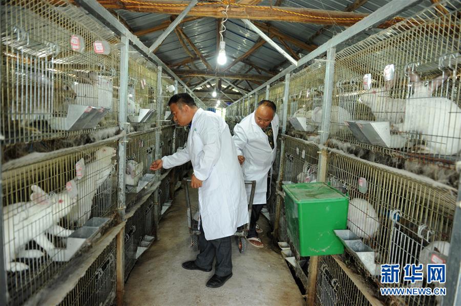 （新華全媒頭條&middot;圖文互動(dòng)）（4）干部去哪兒了？&mdash;&mdash;貴州干部大規(guī)模下沉脫貧攻堅(jiān)一線紀(jì)實(shí)