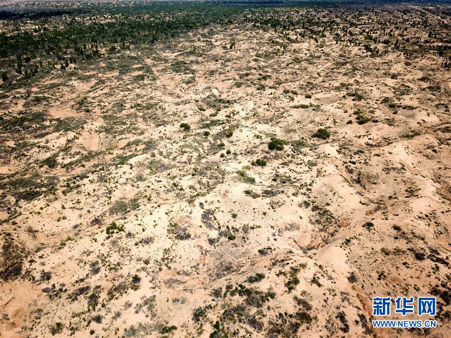 （圖文互動）（2）陜西榆林毀林建光伏電站追蹤：還有哪些疑團有待破解？ 