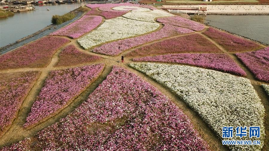 （新華全媒頭條&middot;圖文互動(dòng)）（5）大湖見(jiàn)證&mdash;&mdash;長(zhǎng)三角三大淡水湖綠色發(fā)展之路