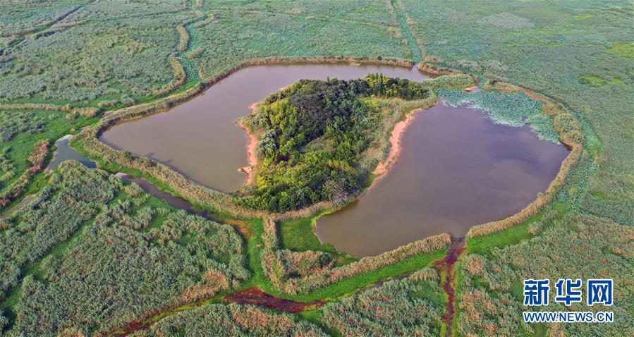 （新華全媒頭條&middot;圖文互動(dòng)）（13）大湖見(jiàn)證&mdash;&mdash;長(zhǎng)三角三大淡水湖綠色發(fā)展之路