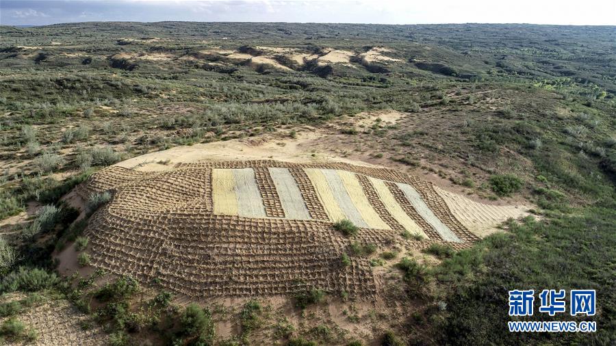 （在習(xí)近平新時代中國特色社會主義思想指引下&mdash;&mdash;新時代新作為新篇章&middot;總書記關(guān)切高質(zhì)量發(fā)展&middot;圖文互動）（1）從一粒沙看不斷擴大的中國綠色版圖
