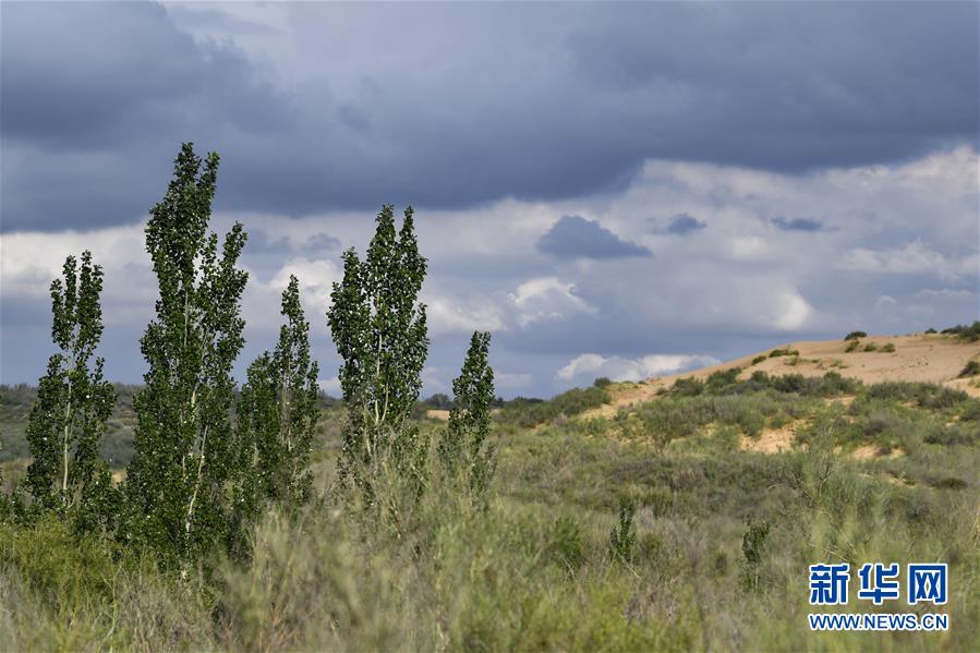 （在習(xí)近平新時代中國特色社會主義思想指引下&mdash;&mdash;新時代新作為新篇章&middot;總書記關(guān)切高質(zhì)量發(fā)展&middot;圖文互動）（2）從一粒沙看不斷擴大的中國綠色版圖