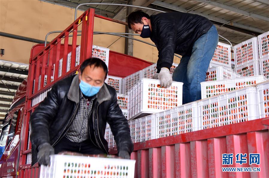 （聚焦疫情防控&middot;圖文互動(dòng)）（5）吃的東西充足，做點(diǎn)花樣菜吧！&mdash;&mdash;中部地區(qū)最大農(nóng)產(chǎn)品批發(fā)市場見聞 