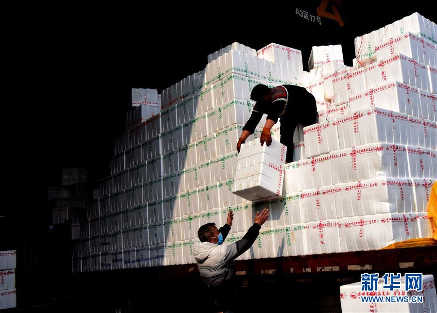 （聚焦疫情防控&middot;圖文互動(dòng)）（4）吃的東西充足，做點(diǎn)花樣菜吧！&mdash;&mdash;中部地區(qū)最大農(nóng)產(chǎn)品批發(fā)市場見聞 