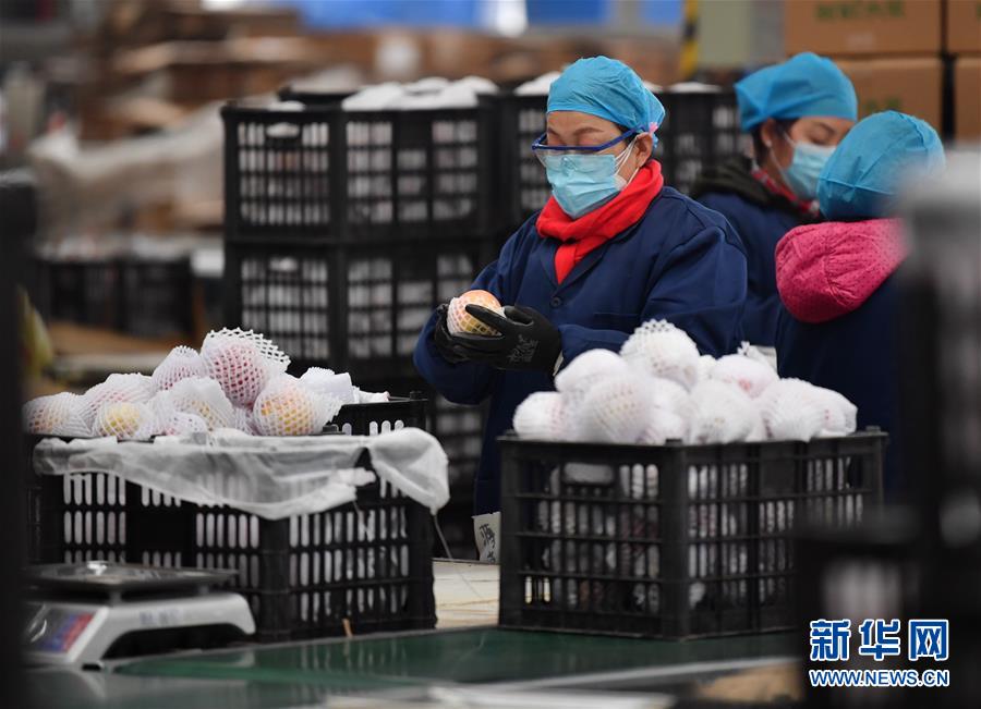 （聚焦疫情防控&middot;圖文互動）（4）&ldquo;一輛輛車出發(fā)，春暖花開的日子就不遠(yuǎn)了&rdquo;&mdash;&mdash;西北電商大縣陜西省武功縣復(fù)工見聞