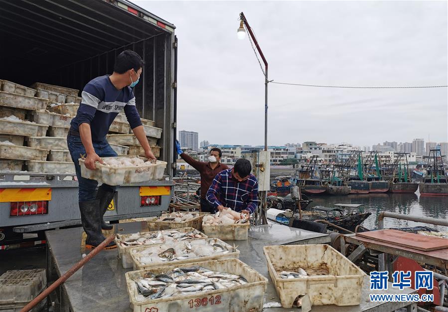 （圖文互動(dòng)）（5）與疫情抗?fàn)?與春光同行&mdash;&mdash;廣西農(nóng)村春耕備耕一線觀察