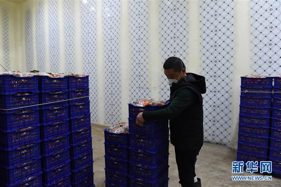 （圖文互動(dòng)）（7）與疫情抗?fàn)?與春光同行&mdash;&mdash;廣西農(nóng)村春耕備耕一線觀察