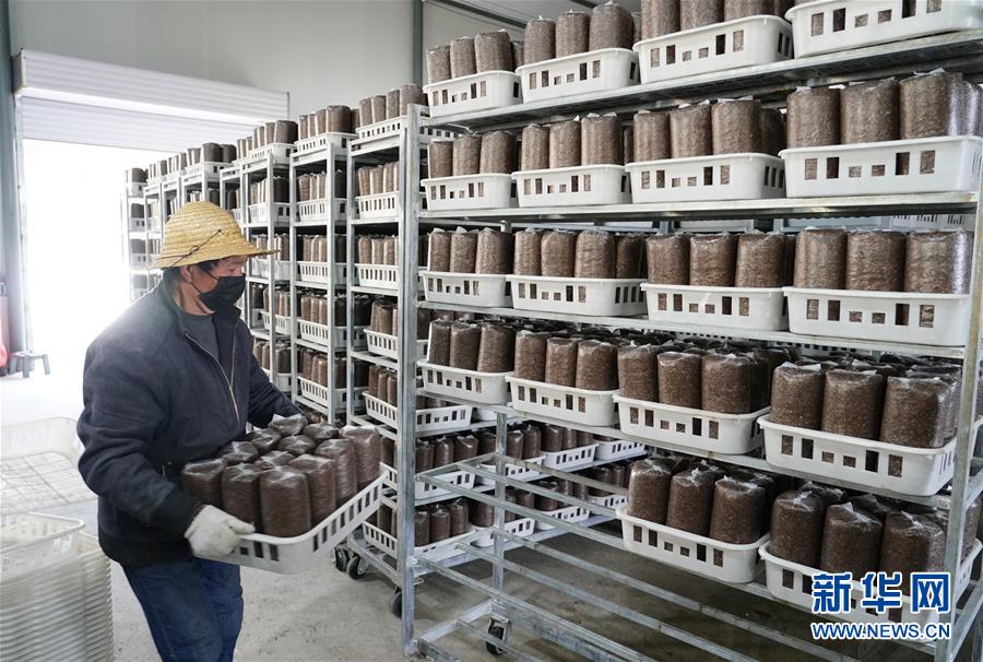 （決戰(zhàn)決勝脫貧攻堅(jiān)&middot;圖文互動(dòng)）（1）秦巴山區(qū)：戰(zhàn)疫戰(zhàn)貧，兩場(chǎng)仗都要打贏