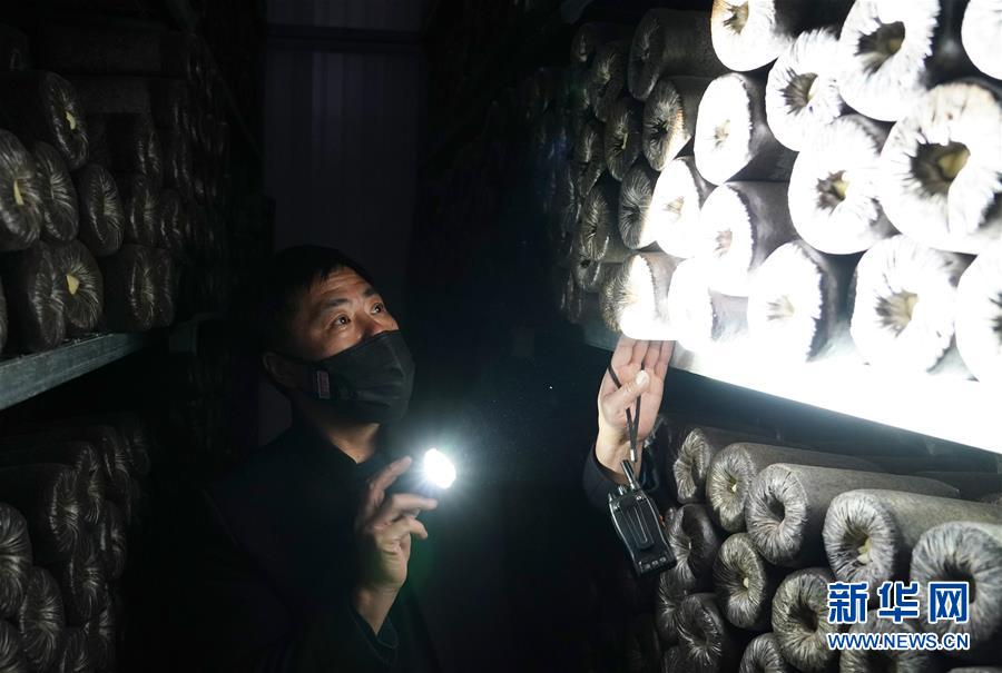 （決戰(zhàn)決勝脫貧攻堅(jiān)&middot;圖文互動(dòng)）（4）秦巴山區(qū)：戰(zhàn)疫戰(zhàn)貧，兩場(chǎng)仗都要打贏