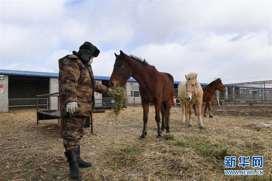 （聚焦疫情防控&middot;圖文互動(dòng)）（1）行進(jìn)在鄉(xiāng)間的馬背巡邏隊(duì)