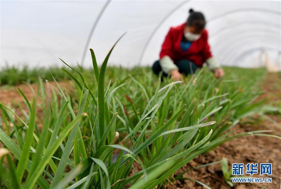 （圖文互動）（3）&ldquo;春天到了，熟悉的生活正在慢慢回來&rdquo;&mdash;&mdash;陜西多地復產(chǎn)復工一線見聞