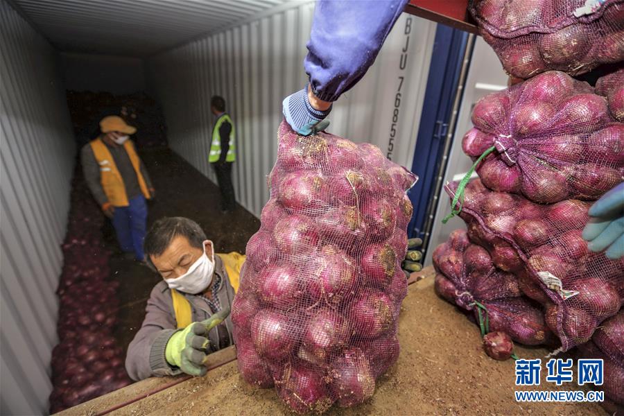 （圖文互動）（6）青青園中葵 朝露待日晞&mdash;&mdash;云南組織蔬菜等農(nóng)產(chǎn)品支援湖北記略