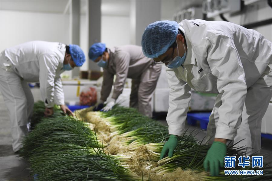 （圖文互動(dòng)）（6）&ldquo;早一天復(fù)工，損失就少一點(diǎn)&rdquo;&mdash;&mdash;廣西以精準(zhǔn)防控推動(dòng)復(fù)工復(fù)產(chǎn)一線見(jiàn)聞