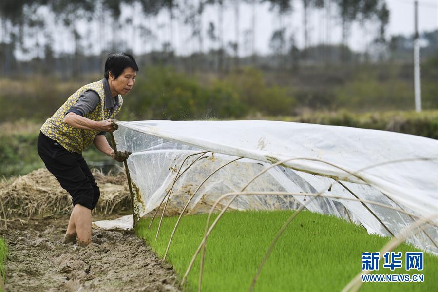 （圖文互動(dòng)）（2）&ldquo;早一天復(fù)工，損失就少一點(diǎn)&rdquo;&mdash;&mdash;廣西以精準(zhǔn)防控推動(dòng)復(fù)工復(fù)產(chǎn)一線見(jiàn)聞