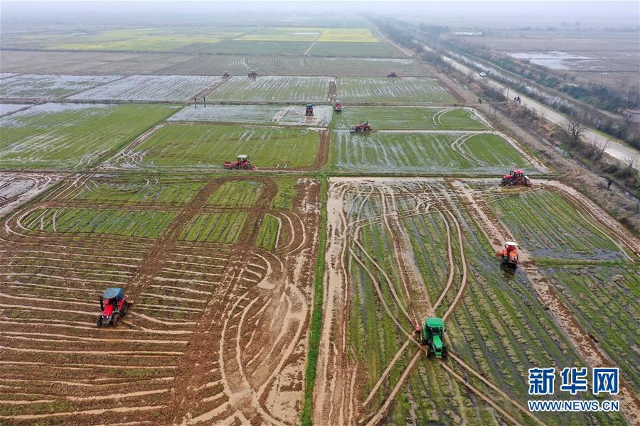 （抓好春耕備耕 穩(wěn)住農(nóng)業(yè)生產(chǎn)&middot;圖文互動(dòng)）（2）智能農(nóng)機(jī)、&ldquo;訂單&rdquo;服務(wù)、&ldquo;云端&rdquo;種菜&mdash;&mdash;來(lái)自江西的春耕&ldquo;新事&rdquo;