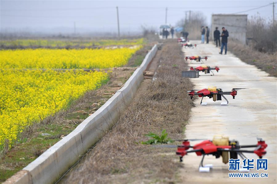 （抓好春耕備耕 穩(wěn)住農(nóng)業(yè)生產(chǎn)&middot;圖文互動(dòng)）（4）智能農(nóng)機(jī)、&ldquo;訂單&rdquo;服務(wù)、&ldquo;云端&rdquo;種菜&mdash;&mdash;來(lái)自江西的春耕&ldquo;新事&rdquo;