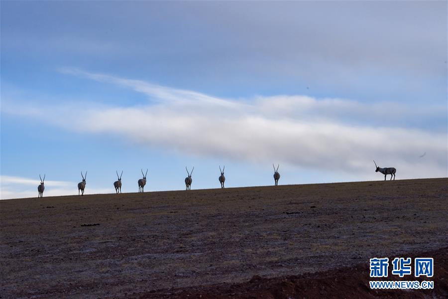 （新華全媒頭條&middot;圖文互動）（1）跨越半個世紀的生命遷徙&mdash;&mdash;西藏極高海拔生態(tài)搬遷破解人與自然共生難題
