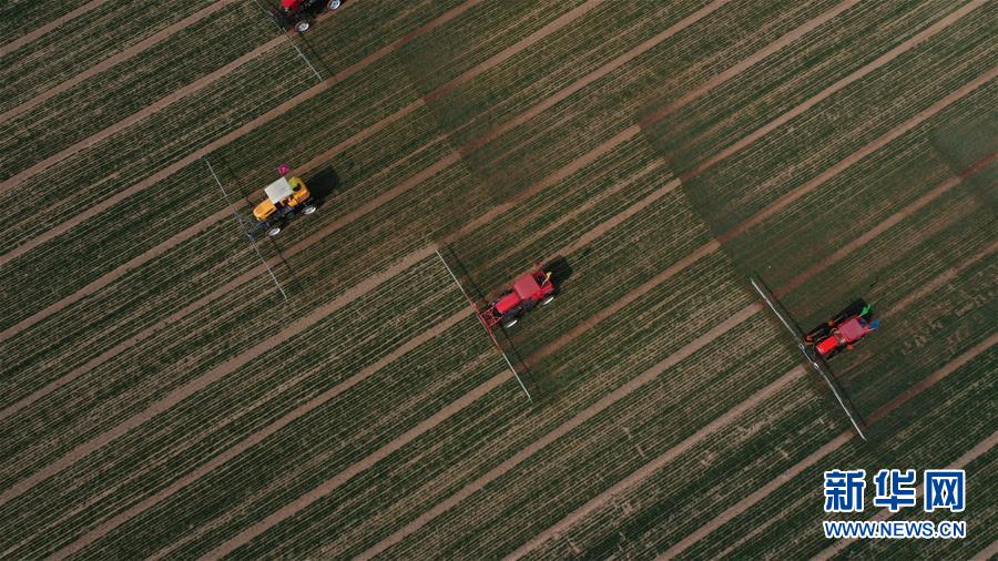 （新華全媒頭條&middot;圖文互動(dòng)）（5）春色最濃在田間&mdash;&mdash;來自全國春耕備耕的現(xiàn)場觀察