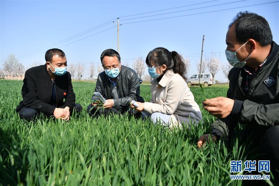 （新華全媒頭條&middot;圖文互動(dòng)）（8）春色最濃在田間&mdash;&mdash;來自全國春耕備耕的現(xiàn)場觀察